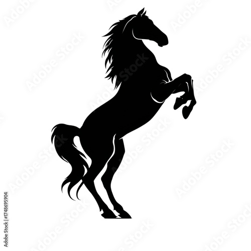 Majestic black horse silhouette rearing up on hind legs.
