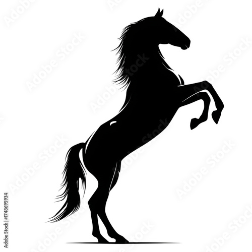 Elegant black silhouette of a powerful horse rearing up.