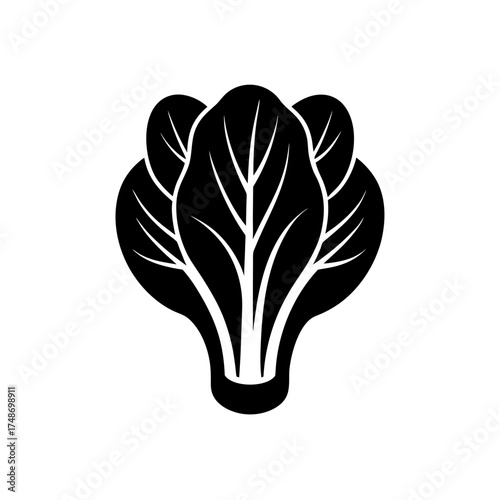 Silhouette image of bok choy plant