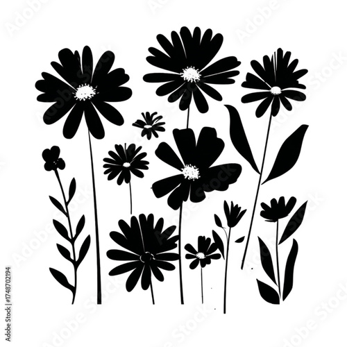 Collection of black silhouette daisy and wildflower illustrations.