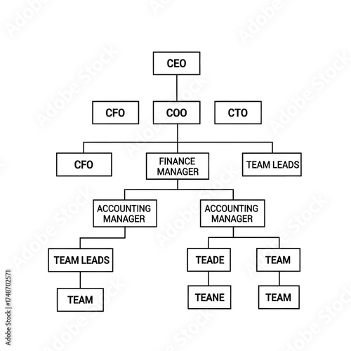 Detailed Corporate Org Chart: Hierarchy, Functional Structure