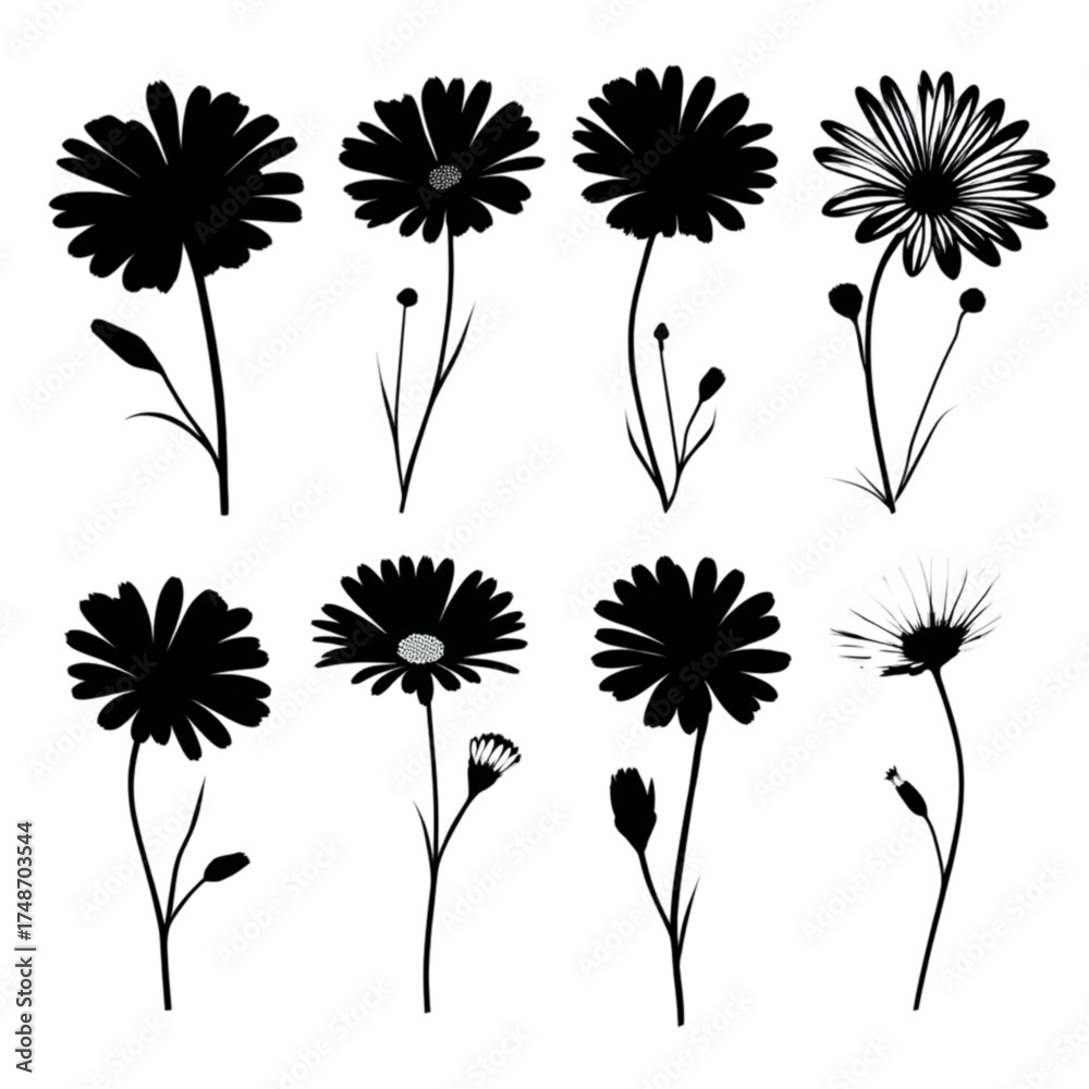 Obraz premium Set of black daisy and chamomile flower silhouettes.