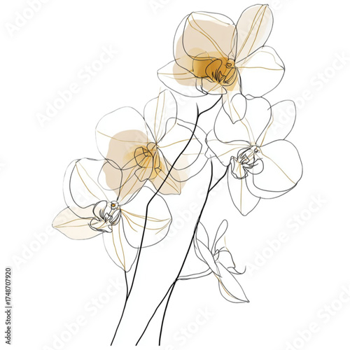 Elegant line art illustration of a blooming orchid branch.