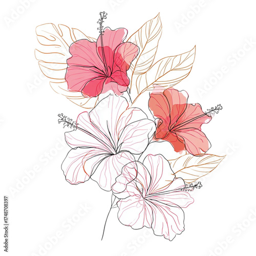 Elegant hand drawn hibiscus flowers with watercolor and gold leaf accents.