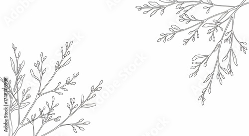 Botanical Whispers: Delicate branches of foliage intertwine, their slender stems and tiny leaves creating a graceful composition in shades of grey.