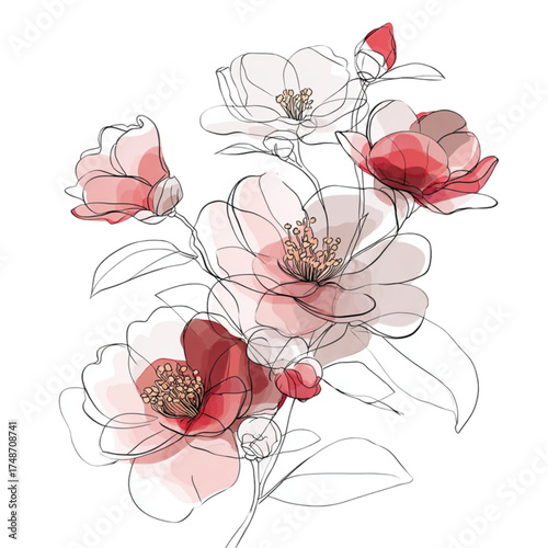 Elegant watercolor camellia flowers with delicate line art illustration.