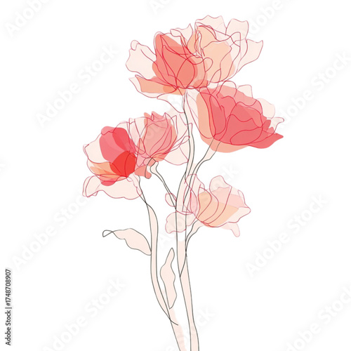 Delicate line art illustration of a bouquet of translucent pink flowers.