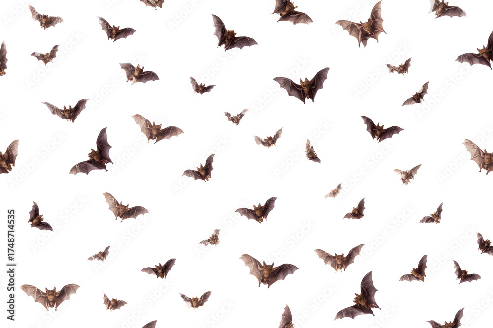 Bats flying on a white background a spooky pattern for Halloween perfect for backgrounds and overlays