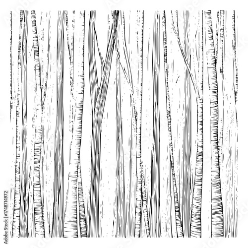 Detailed monochrome sketch of a weathered tree branch extending diagonally across a white background space