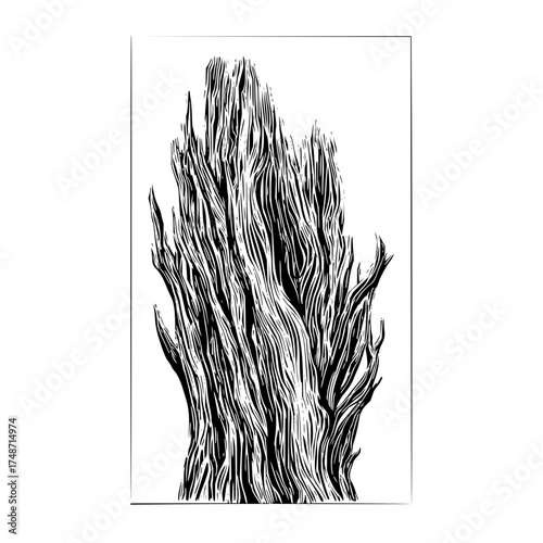 Illustration of a tall tree trunk with many branches in black and white drawing style artwork design