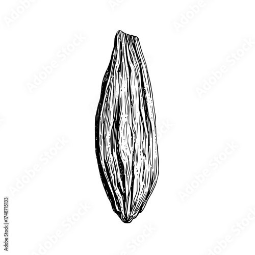 Illustration of a tree trunk with detailed bark texture in black and white vertical orientation view