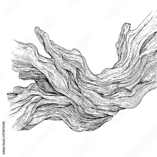 Detailed black and white drawing of tree trunks with intricate bark textures and vertical lines forming patterns