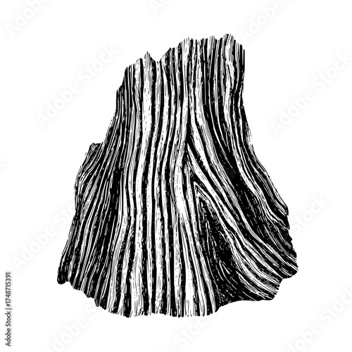 Three stylized cypress trees with intricate wood grain patterns in a black and white illustration style