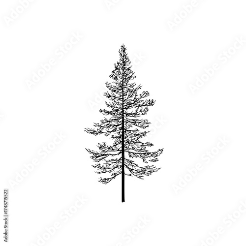 Sparse representation of tall trees against a white background in a distressed and grainy style art