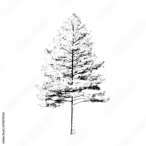 Illustration of a gnarled tree trunk and branches on the right side against a white background art work