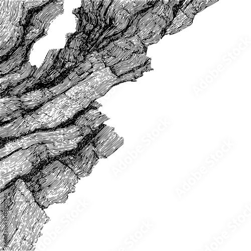 A silhouette of a tree branch with intricate details and a stark contrast against a white background shown here