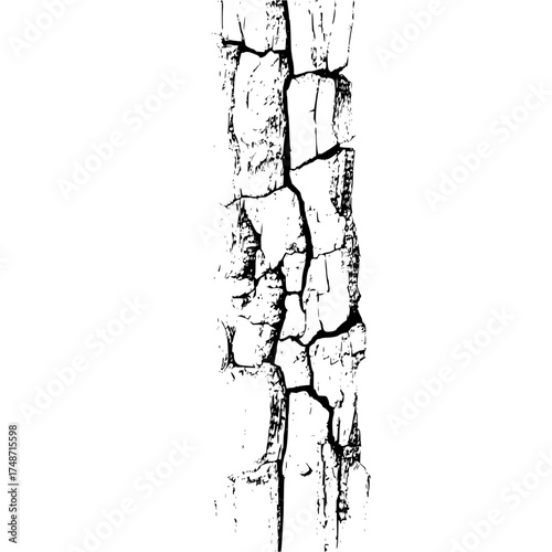 Detailed monochrome illustration of a weathered tree stump with intricate wood grain patterns shown