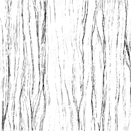 Illustration of a detailed tree bark texture with rough edges and intricate line work in black and white