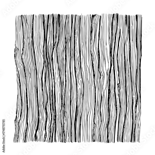 Close up sketch of tree bark with vertical lines and textured surface showcasing natural wood grain detail