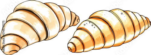 Watercolor vector illustration of a croissant.