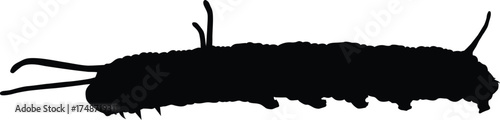 Caterpillar Vector Black Silhouette Icon with Sharp Line Artwork