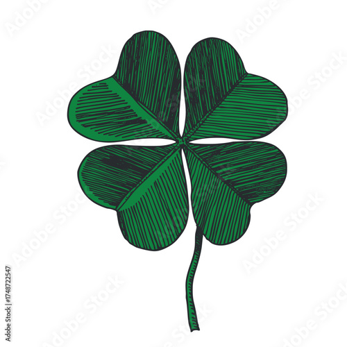 Clover leaves sketch. Decorative sceleton leaf icons. Vector hand drawn illustration. Minimal line art style. St Patrick's day elements.