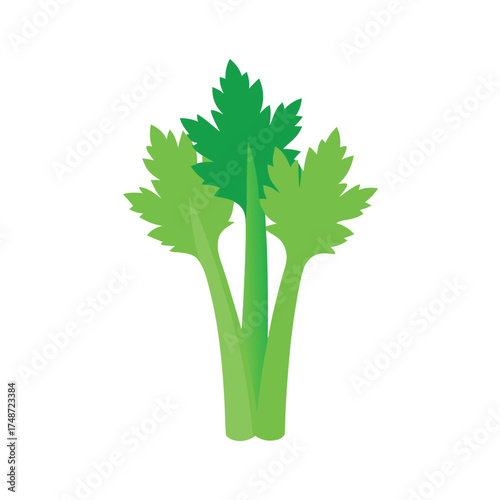 fresh celery stalks with leafy tops on white background