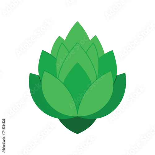  green artichoke with layered petals on white background