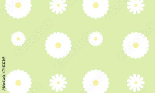 Colorful floral chamomile vector seamless pattern in white color. Spring symmetric camomile flower illustration. For textile, fabric, wallpaper design.