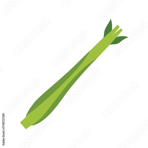 ong drumstick vegetable moringa pods with segme 