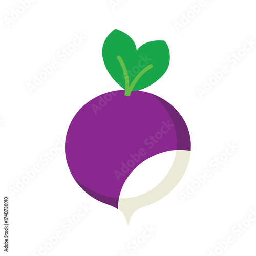  purple and white turnip with leafy top