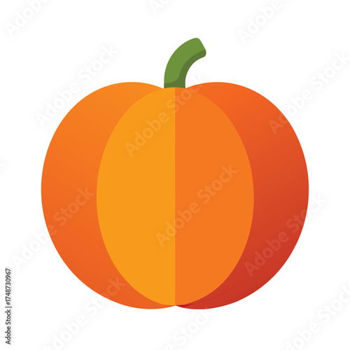 round orange pumpkin with stem and natural shadow