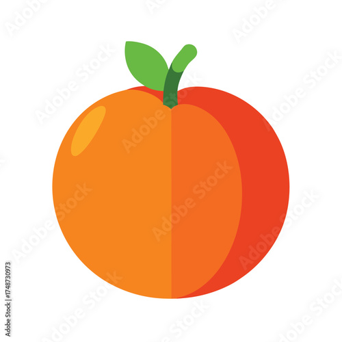 round orange pumpkin with stem and natural shadow