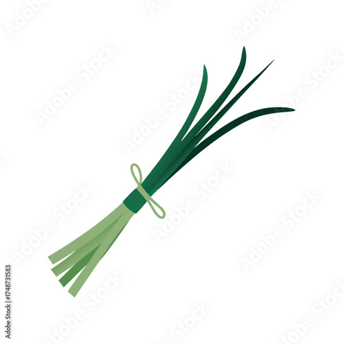 thin chives bundle tied with string on white background