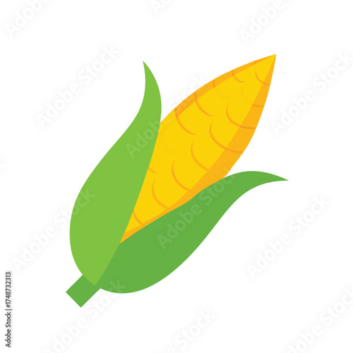 yellow corn cob with green husk partially peeled 