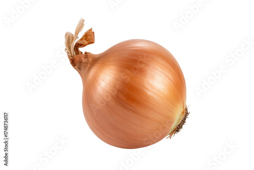 Wallpaper Mural A single, ripe yellow onion with its dry outer skin, isolated on a transparent background. background removed Torontodigital.ca