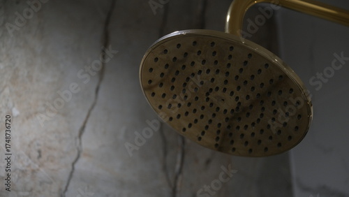Brass shower head in modern bathroom interior