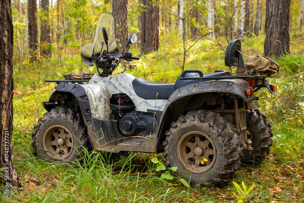 Fototapeta premium Off-road vehicle parked in a vibrant forest scene during autumn afternoon. quad bike or ATV among trees. All Terrain Vehicle or quadbike or ATV. side view