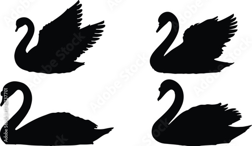 Four black swan silhouettes isolated on white background