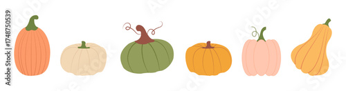 Set of various pumpkin vector illustrations in cartoon groovy funky style. Collection of different shapes gourds. Cute colored, flat pumpkin autumn harvest, fall.