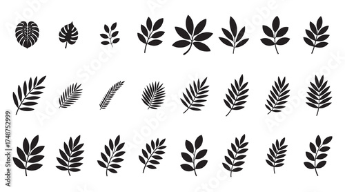 Tropical Leaf Silhouette Vector Set – Botanical Plant Icon Collection, Minimal Black Leaf Clipart for Design and Decoration