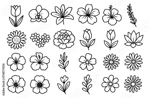 Set of 25 simple floral outlines featuring flowers and leaves