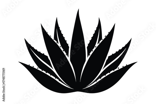 aloe vera silhouette vector art