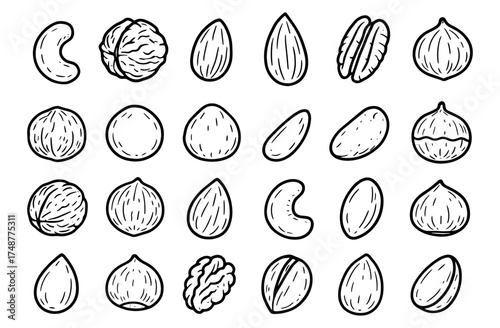 Hand drawn nut pattern collection with almonds, cashews, walnuts, and more