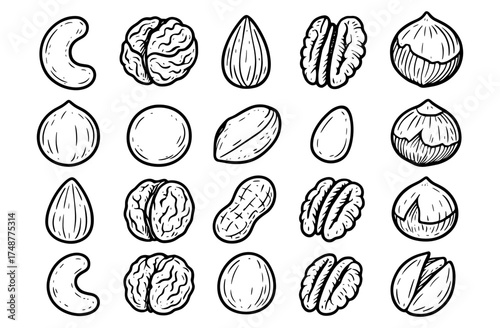 Variety of nuts in hand drawn style perfect for healthy food concepts