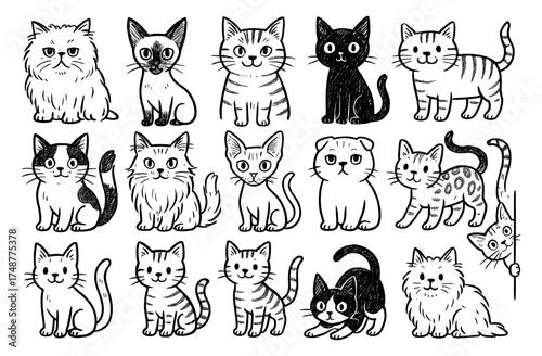 Charming hand drawn cat collection with textured details in black and white