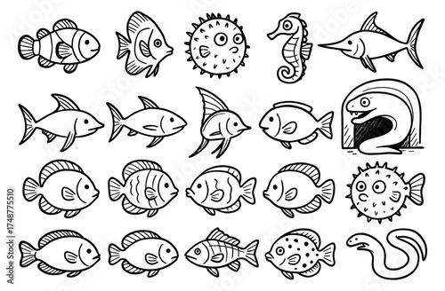 Hand-drawn aquatic creatures in sketch style: fish, seahorse, and more