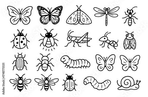 Hand drawn black and white insect line art collection with butterflies, bees, and more