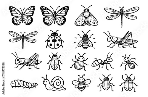 Hand-drawn insects collection featuring butterflies, dragonflies, and beetles in black and white style