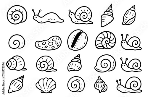 Hand-drawn snails and shells collection for design projects